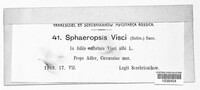 Botryosphaeria visci image